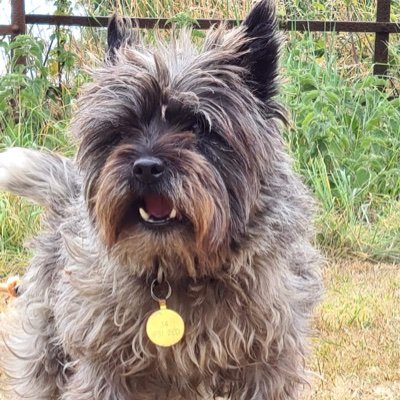 LindaSayers61's profile picture. Safeguarding Consultant and Trainer .... you can with a campervan