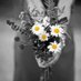 bǝdɹᴉʎǝོ 🇹🇷 (@___bezbebe_21) Twitter profile photo bǝdɹᴉʎǝོ 🇹🇷 (@___bezbebe_21) Twitter profile photo