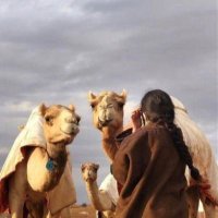 shahaّd (@llizs1) Twitter profile photo