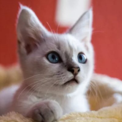 oniandor's profile picture. #fo~#fo #fo
#followback100%
#btc #eth #etc #bch #doge #okb