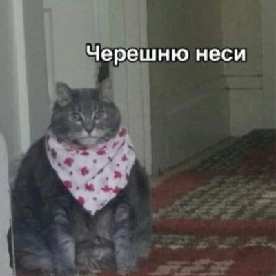 #взаимно шлепну по попке🔞 Жамкай колокольчик🔔 Обожаю своих пчЁлок