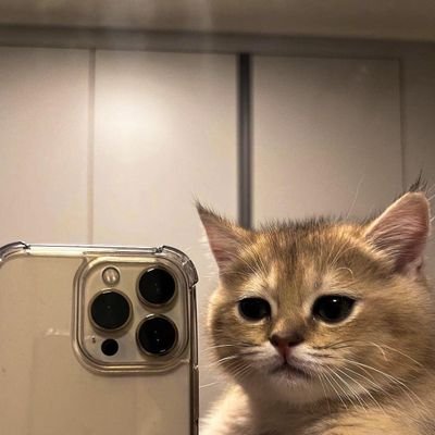theonlyfabu's profile picture. 