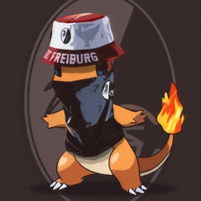 JaggaSCF's profile picture. @scfreiburg | @trailblazers