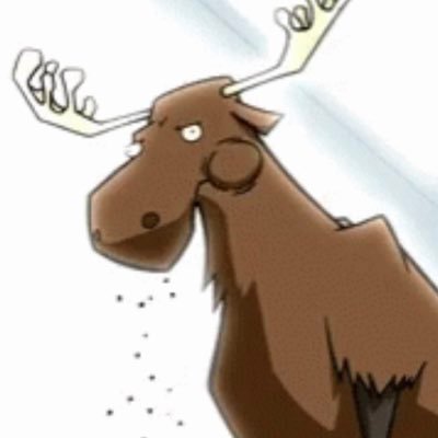 Just a moose 🫎 following the bassline🔊 wherever it goes 💻 ⛑️ 🏴☠️🐰