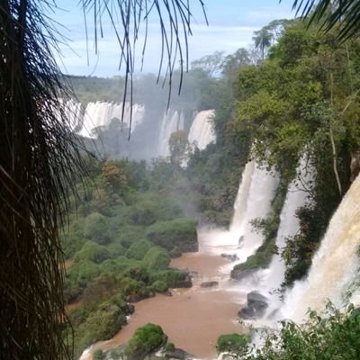 Donatta01648912's profile picture. La visión de todo. El lente.