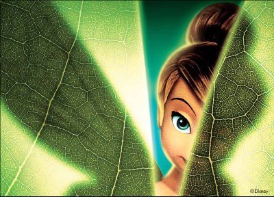 ineslan's profile picture. 