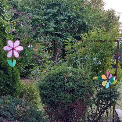 alle_meschugge's profile picture. Grün ist schön