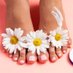 🌼Daisee Rose (@daiseetoes) Twitter profile photo 🌼Daisee Rose (@daiseetoes) Twitter profile photo