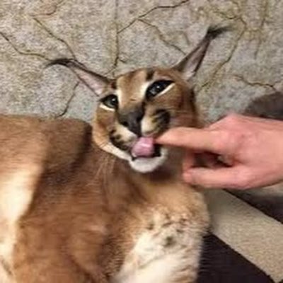 Snilper3435's profile picture. 