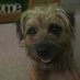 Ronnie (@ronnietheborder) Twitter profile photo Ronnie (@ronnietheborder) Twitter profile photo