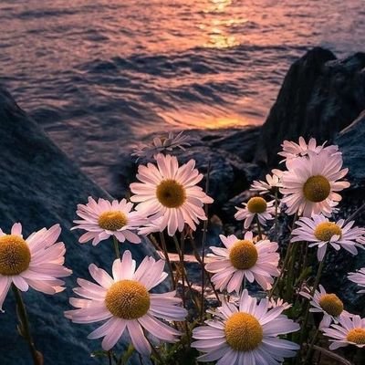 Oktu23's profile picture. 