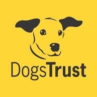 Charity Bestball #FantasyFootball Tournament raising money for #TheDogsTrust 🐶🏆 The prize: 2 x tickets to an NFL London game / Runner Up: an NFL Jersey