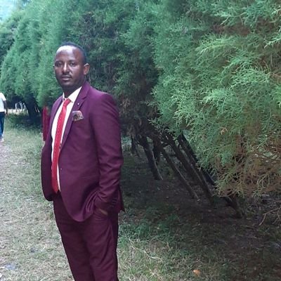 yalelet08380153's profile picture. 