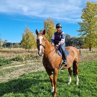 Fiona Doolan-Noble (@doolanfiona) 's Twitter Profile