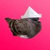 PinkPlumPie (@pinkplumpie) Twitter profile photo PinkPlumPie (@pinkplumpie) Twitter profile photo