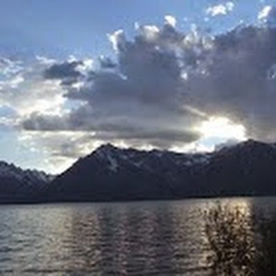 Brigitte2468's profile picture. 