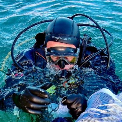 carlosmdp's profile picture. 