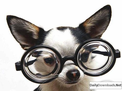 Dejin_Justin's profile picture. life-span student