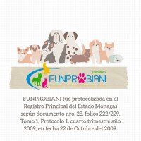 FUNPROBIANI (@funprobiani) 's Twitter Profile