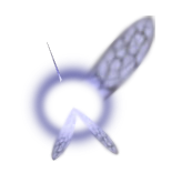 PressUpOnC's profile picture. Hey! Listen! I am Navi. I was sent by the Great Deku Tree to help the hero, Link, on his quest to save Hyrule. Watch out! I'm not that annoying...