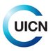 Comité UICN Honduras (@HondurasUicn) Twitter profile photo