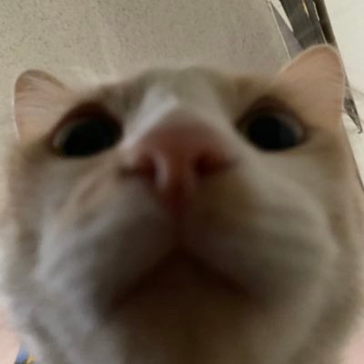 Marcooo64519512's profile picture. 