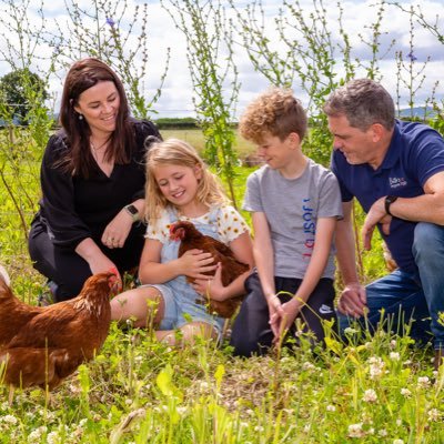 Tasty organic eggs from happy free ranging organic hens. Try them at avoca, butlers pantry, dublin co op, nourish, farmers markets .... #organiceggs #happyhens