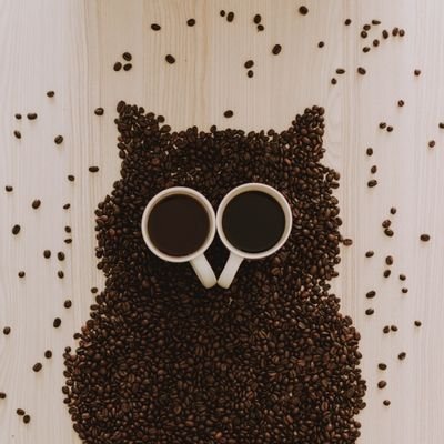 Gulcan101's profile picture. 