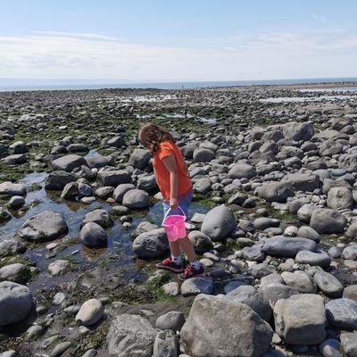 Welsh, seaside loving, working mum with 3 gorgeous girls, too many pets, eco, dw i’n dysgu cymraeg 🏴, talks too much, Disney fan. She/her
