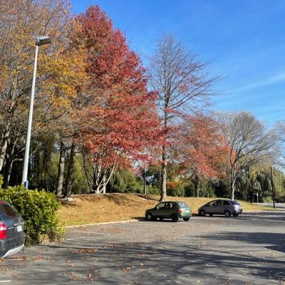 WillLi42699590's profile picture. 