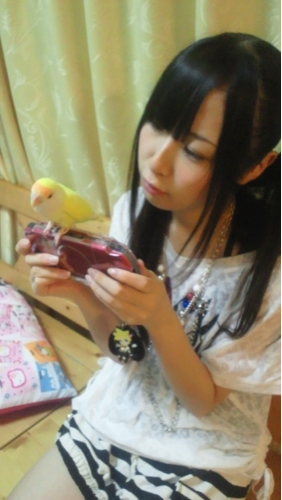 AKB48、SKE48好きな中学三年生の♂です。
推しはAKBだとまゆゆで、SKEだと1推しがちゅりで2推しがくーみんです！
最近はSKEの方にはまってます！