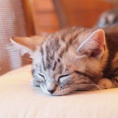 ryuxseino's profile picture. 