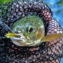 Max Trent - @max_trent - Twitter