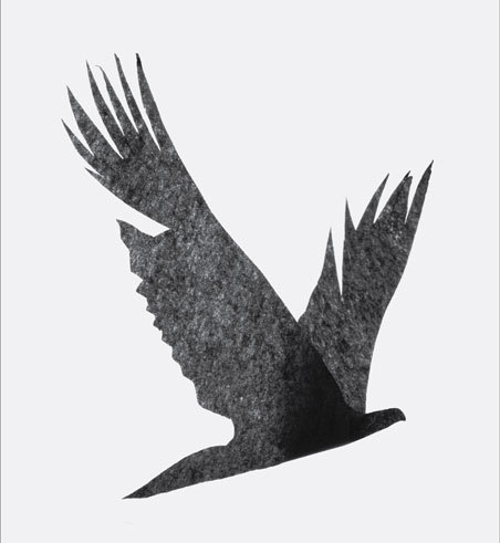 OzzieDating's profile picture. We are an Australian based dating site with a world-wide database of members looking for friends, partners or soul mates.
You can join & preview the site free.