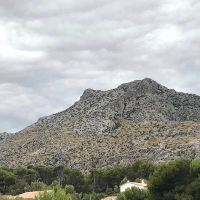 emilielry's profile picture. 