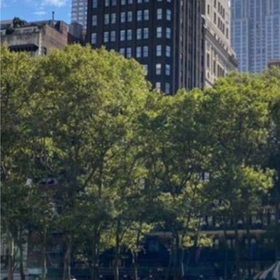 Rbintfais's profile picture. ...