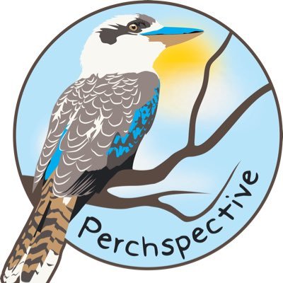 Perchspective Profile Picture