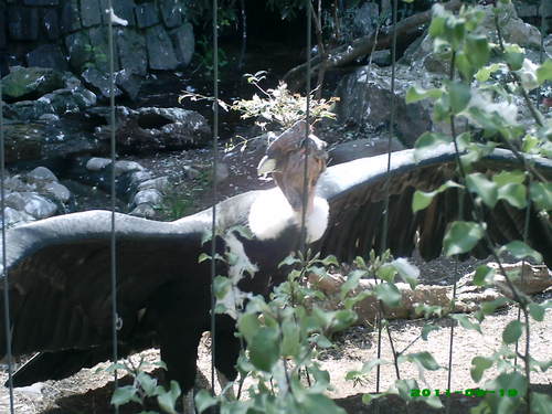 habaraona's profile picture. 