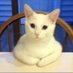 Carl Cool Cat (@markdenic1) Twitter profile photo Carl Cool Cat (@markdenic1) Twitter profile photo