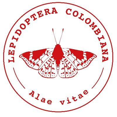 Asesoramos y desarrollamos proyectos de investigación, ciencia participativa, turismo científico y divulgación sobre lepidópteros en Colombia 🦋🇨🇴🐛