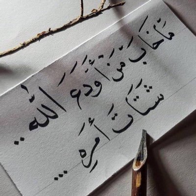 s33d_91's profile picture. 