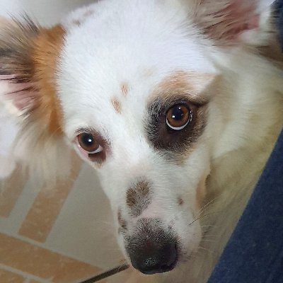 jojay 🐾さんのプロフィール画像