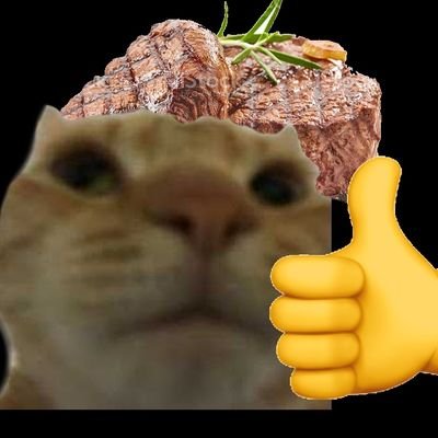 I am meaty monster 💀
when I retweet things it's probably because I'm saving them for later
follow = endorsement