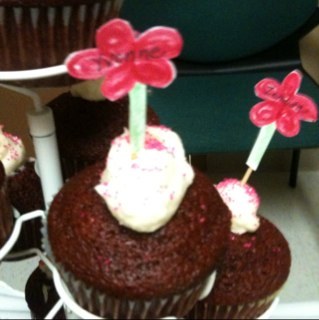 lisaaulani's profile picture. Live your own life