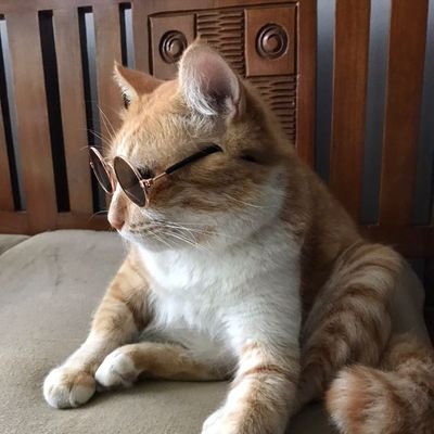 ratryanggrhayni's profile picture. what ?