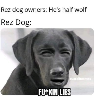 lilley_miles's profile picture. 