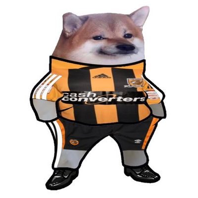 Wheelho13146716's profile picture. tweet to vent and take on Nonsense wherever reprodused. #fella