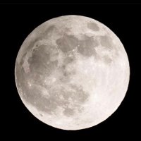 あひる (@0322ahiruman) 's Twitter Profile Photo