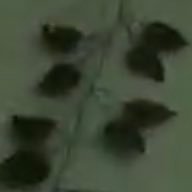 Paintar93412828's profile picture. 