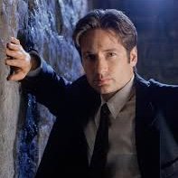 Non ci sono più gli Xfiles di una volta.
Sono fieramente pelato, ma la foto di Mulder mi piaceva.